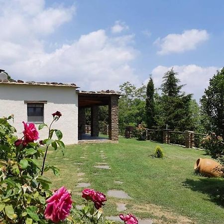 Cortijo Jimenez - Casa Rural Villa Pitres ภายนอก รูปภาพ