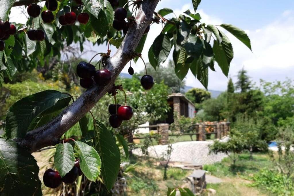 Cortijo Jimenez - Casa Rural Villa Pitres ภายนอก รูปภาพ