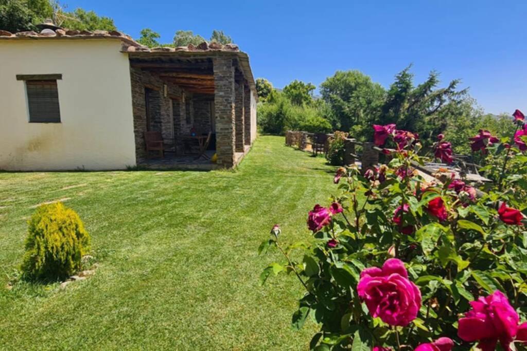 Cortijo Jimenez - Casa Rural Villa Pitres ภายนอก รูปภาพ