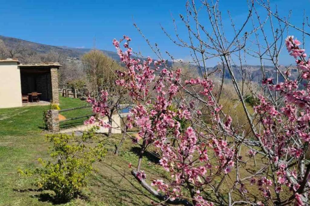 Cortijo Jimenez - Casa Rural Villa Pitres ภายนอก รูปภาพ