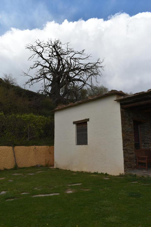 Cortijo Jimenez - Casa Rural Villa Pitres ภายนอก รูปภาพ